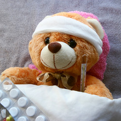 Teddy bear ill