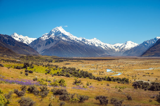 Landscape view of meadows and Mt Cook mountain range, NZ