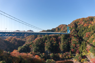 竜神大吊橋