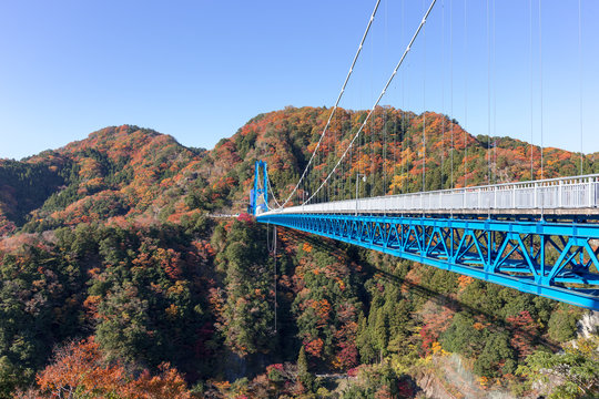 竜神大吊橋