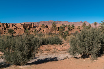 Town and oasis of Tinerhir, Morocco
