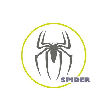 Spider logo design vector template