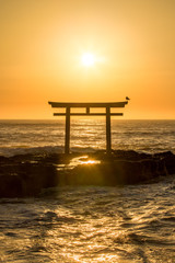 Japanisches Torii am Meer bei Sonnenaufgang