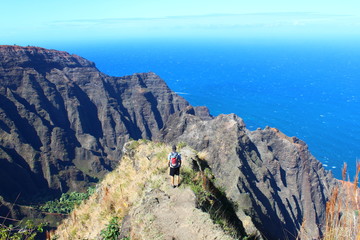 Fototapeta premium nature in kauai, Hawaii