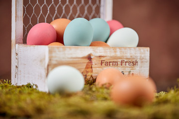 Farm fresh pastel easter eggs