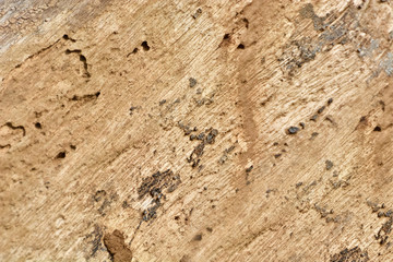 Wooden texture