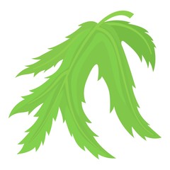 Leaf icon, cartoon style
