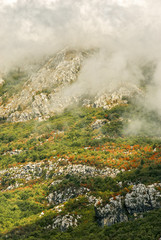Autumn mountains in the clouds.