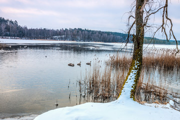 zima na Warmii © Janusz Lipiński