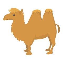 Camel icon, cartoon style
