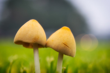 We suffered. But we are still together