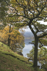 Beautiful Autumn Fall landscape image of Lake Buttermere in Lake