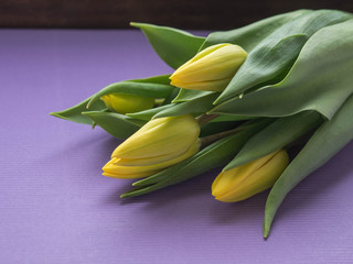 Tulip. Beautiful bouquet of tulips.