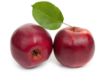 Two red apples isolated on white background, close-up.