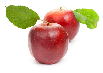 Two red apples isolated on white background, close-up.