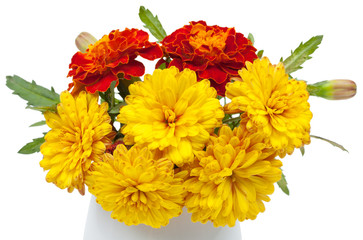 Dark red marigolds and chrysanthemums in a ceramic vase, flowerp