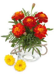 Obraz na płótnie Canvas Beautiful flowers marigolds in a glass jar with ropes bowknot an