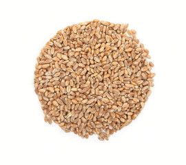 Grain of wheat isolated on a white background. Top view.