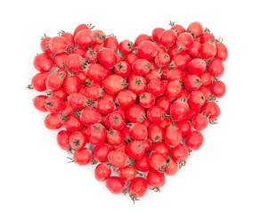 Heap of dog rose berries hips heart shaped. Isolated on white ba