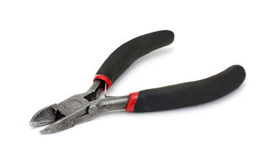 Nipper isolated on a white