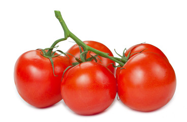 Branch of red tomatoes, isolated on white background, close-up.