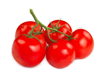 Branch of tomatoes isolated on white