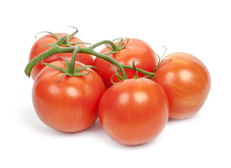 Branch of red fresh tomatoes isolated on white background, close