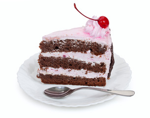 A delicious piece of chocolate cake with cherry cream and canned