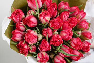beautiful bouquet Crimson tulip with in woman hand . colorful color mix flower