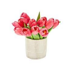 Bouquet of red tulips in vase. Selective focus. Isolated over white background