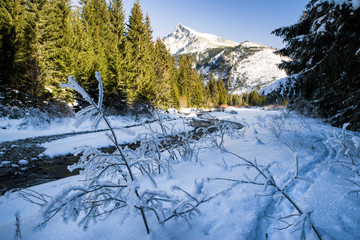 Peak Krivan from Koprova valley, Slovakia