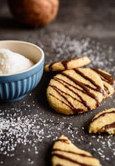 Fototapeta na wymiar Coconut cookies with chocolate glaze