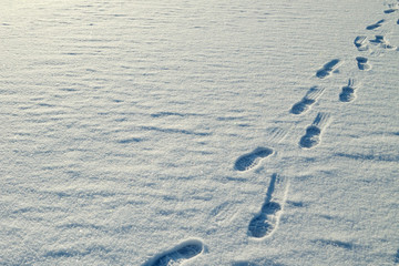 Human footprints in the snow.