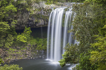 Fototapeta na wymiar Rainbow Falls, Kerikeri, New Zealand