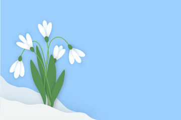 Fototapeta na wymiar Spring horizontal banner with colored paper flowers with space for your text. Flowers white snowdrops with leaves growing out of the snow against the sky. Vector illustration