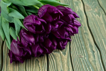 Bouquet of tulips on wooden background