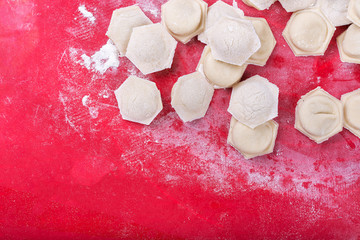 raw homemade dumplings