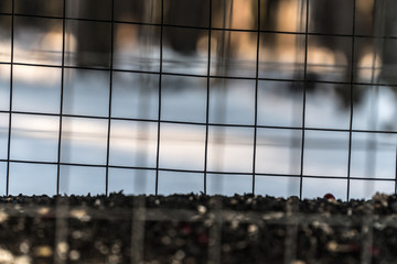 View over the metal grilles / fence - blurred background / wooden base