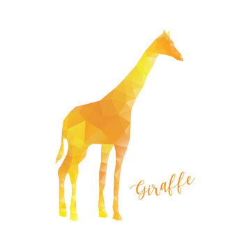 Giraffe in low poly style. Polygonal animal isolated