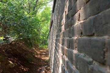 Hidden path in the forest