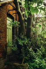 old bricked wall on greenhouse, aged house in botanical garden