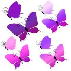 beautiful butterflies, isolated  on a white