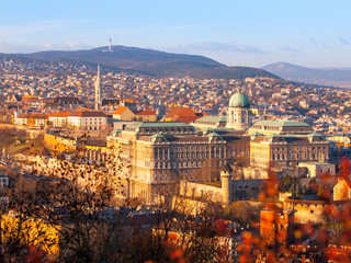 Naklejka premium View of Buda Castle from Gellert Hill on sunny evening, Budapest, Hungary, Europe, UNESCO World Heritage Site.
