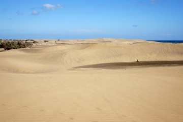 Fototapeta na wymiar Dünenlandschaft am Strand von Maspalomas