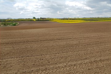 Agircutural field with brown soil