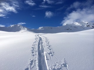 Spur auf Skitour