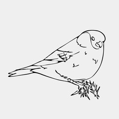 Hand-drawn pencil graphics, small bird. Engraving, stencil style.
