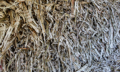 A view of refuse from sugarcane processing near the city of Piura, region called Jijili. In the...