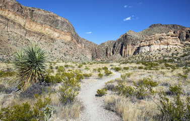 Desert hiking trail