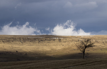 Vibrant clouds after rain